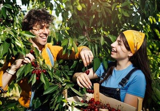 Facilitatea de creditare în agricultură