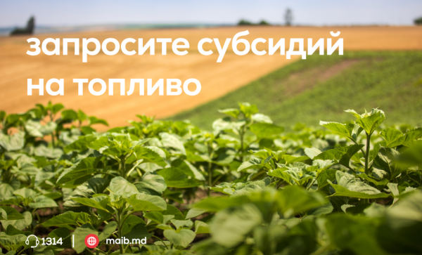 

                                                                                     https://maib.md/storage/media/2023/07/20//big-image_1689856658_4MaCKOcc4K.png
                                            
                                    