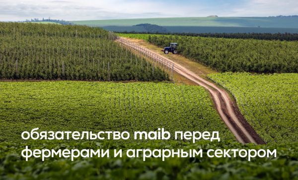 

                                                                                     https://maib.md/storage/media/2023/12/01//big-image_1701445523_646LmZaUmb.png
                                            
                                    
