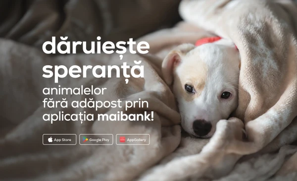 
                                                                                                    https://maib.md/storage/media/2024/12/19//big-image_1734591270_Rxc0yw1CCo.webp
                                                                                                
