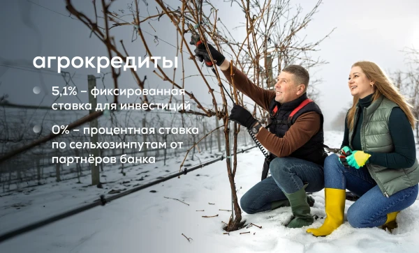 

                                                                                     https://maib.md/storage/media/2026/02/02//big-image_1770020749_CHanNEvltV.webp
                                            
                                    