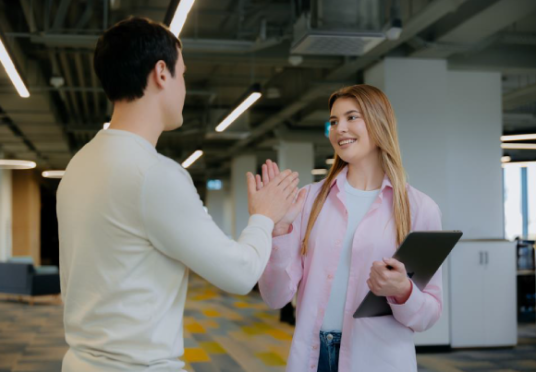 Proiecte salariale maib